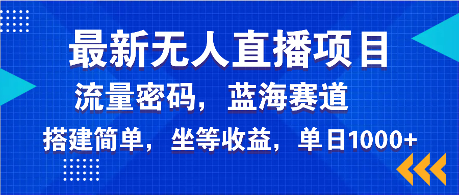 最新无人直播项目—美女电影游戏，轻松日入3000+，蓝海赛道流量密码，...-瀚洪创业网