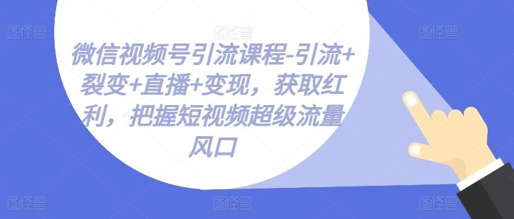 微信视频号引流课程-引流+裂变+直播+变现，获取红利，把握短视频超级流量风口-瀚洪创业网
