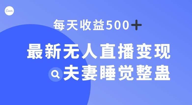 最新无人直播变现，夫妻睡觉整蛊，每天躺赚500+【揭秘】-瀚洪创业网