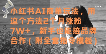 小红书AI商单玩法，用这个方法2个月涨粉7W+，新手也能接品牌合作(附全套指令模板)-瀚洪创业网