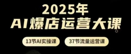 2025年AI爆店运营大课，13节AI实操课+37节流量运营课-瀚洪创业网