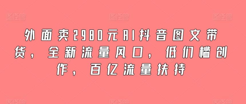 外面卖2980元AI抖音图文带货，全新流量风口，低们槛创作，百亿流量扶持-瀚洪创业网