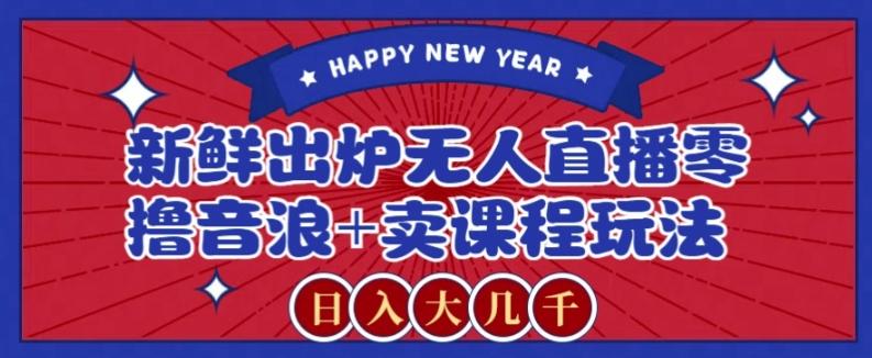 2024最新无人直播零撸音浪+卖课程玩法，日入大几千不是梦【揭秘】-瀚洪创业网
