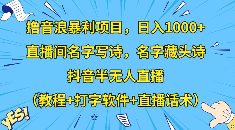撸音浪暴利项目，日入1000+，直播间名字写诗，名字藏头诗，抖音半无人直播（教程+打字软件+直播话术）【揭秘】-瀚洪创业网