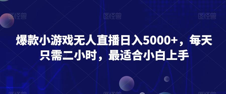 爆款小游戏无人直播日入5000+，每天只需二小时，最适合小白上手-瀚洪创业网