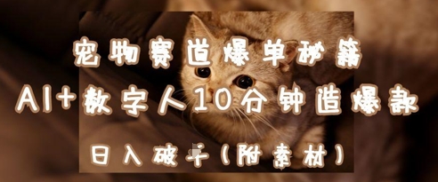 宠物赛道爆单秘籍：AI+数字人10分钟造爆款，日入1k-瀚洪创业网