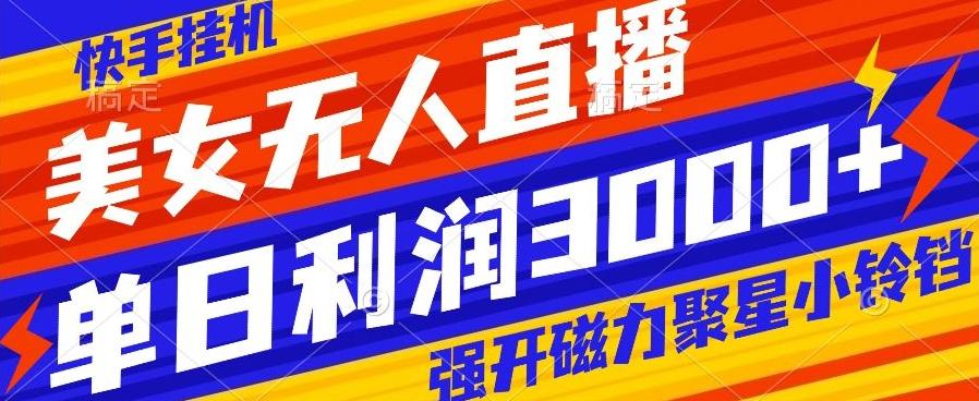 快手挂机，美女无人直播，强开磁力聚星小铃铛，日入3000+-瀚洪创业网