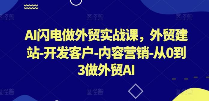 AI闪电做外贸实战课，​外贸建站-开发客户-内容营销-从0到3做外贸AI-瀚洪创业网
