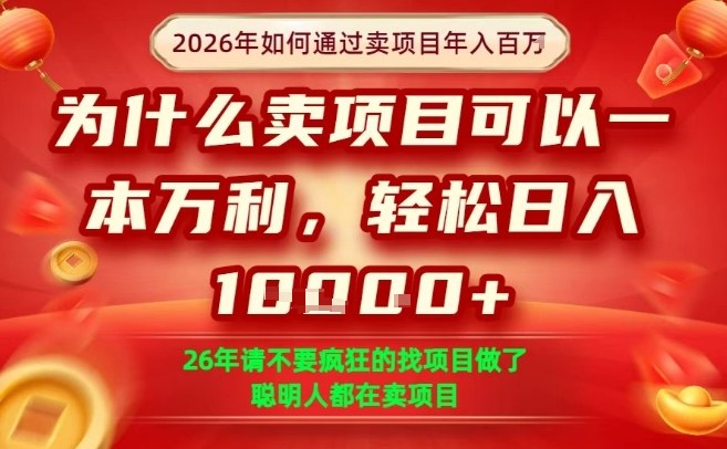 一单净利润1K+，26年想年入100个W，死磕卖项目就够了【揭秘】-瀚洪创业网
