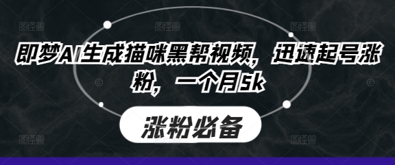 即梦AI生成猫咪黑帮视频，迅速起号涨粉，一个月5k-瀚洪创业网