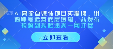 AI高阶自媒体项目实操课，讲透账号运营底层逻辑，从发布视频到规避违规一网打尽-瀚洪创业网