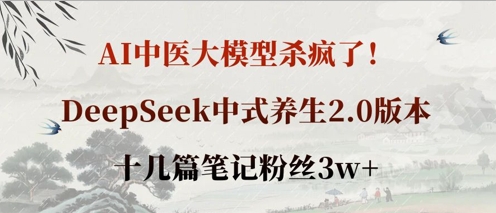 AI中医大模型杀疯了！DeepSeek中式养生2.0版本，十几篇笔记粉丝3w+-瀚洪创业网