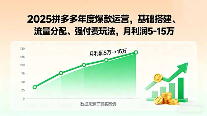 2025拼多多年度爆款运营，基础搭建、流量分配、强付费玩法，月利润5-15万-瀚洪创业网