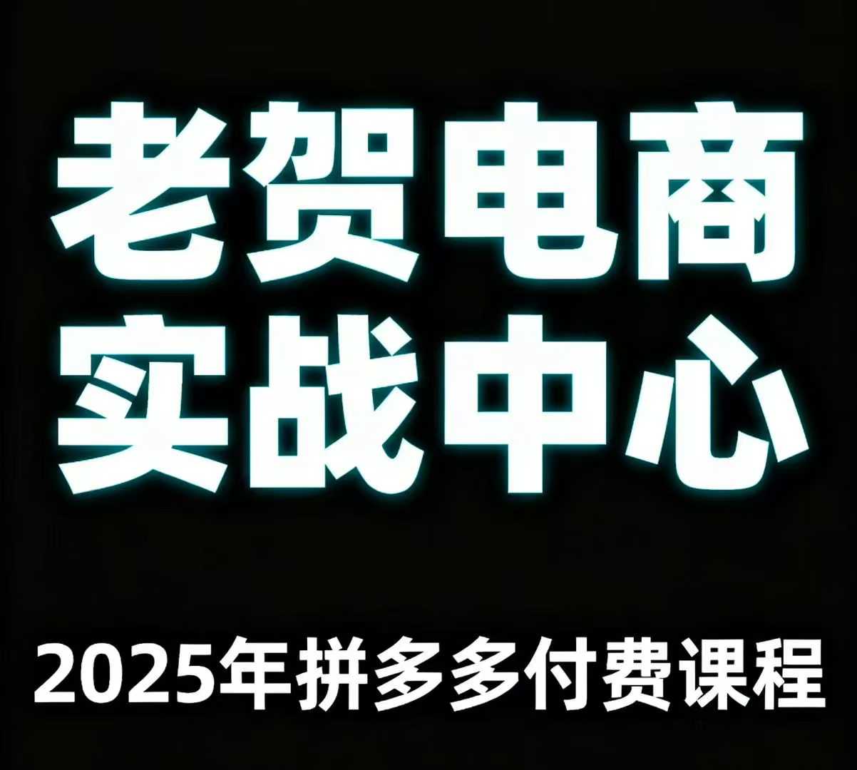 老贺电商2025年拼多多付费课程，用通俗易懂的方法告诉你多多怎么玩-瀚洪创业网