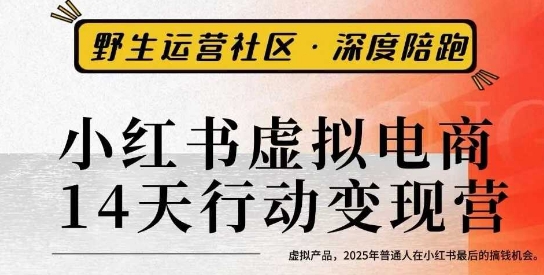 小红书虚拟电商14天变现训练营3.0，​虚拟产品，2025年普通人在小红书最后的搞钱机会-瀚洪创业网