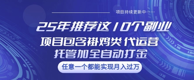 25年推荐这10个副业项目包含褂鸡类、代运营托管类、全自动打金类【揭秘】-瀚洪创业网