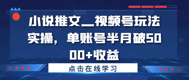 小说推文—视频号玩法实操，单账号半月破5000+收益-瀚洪创业网