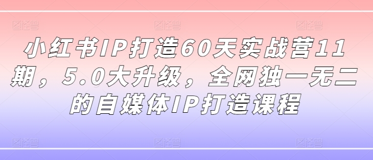 小红书IP打造60天实战营11期，5.0大升级，全网独一无二的自媒体IP打造课程-瀚洪创业网