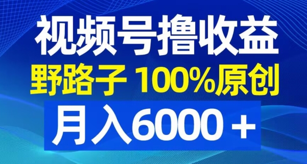 视频号野路子撸收益，100%原创，条条爆款，月入6000＋【揭秘】-瀚洪创业网