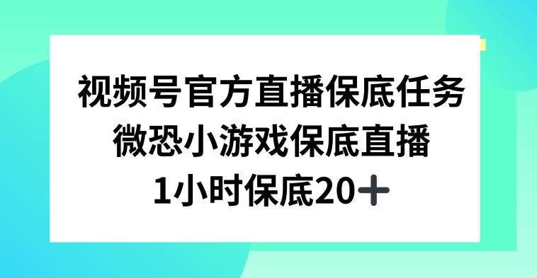 视频号直播任务，微恐小游戏，1小时20+【揭秘】-瀚洪创业网