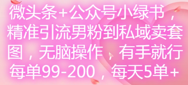 微头条+公众号小绿书，精准引流男粉到私域卖套图，无脑操作，有手就行，每单99-200，每天5单-瀚洪创业网