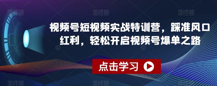 视频号短视频实战特训营，踩准风口红利，轻松开启视频号爆单之路-瀚洪创业网
