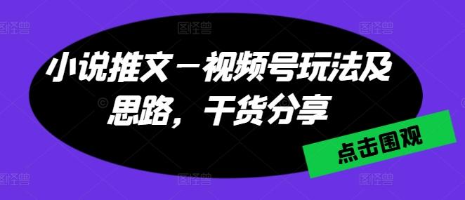 小说推文—视频号玩法及思路，干货分享-瀚洪创业网