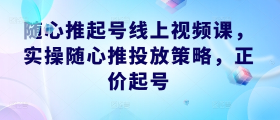随心推起号线上视频课，实操随心推投放策略，正价起号-瀚洪创业网