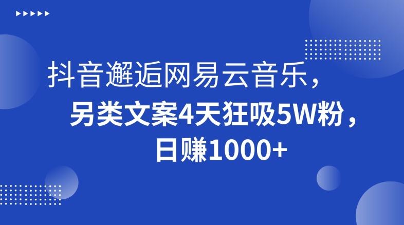 抖音邂逅网易云音乐，另类文案4天狂吸5W粉，日赚1000+【揭秘】-瀚洪创业网