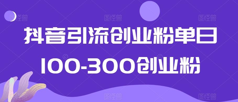 抖音引流创业粉单日100-300创业粉【揭秘】-瀚洪创业网