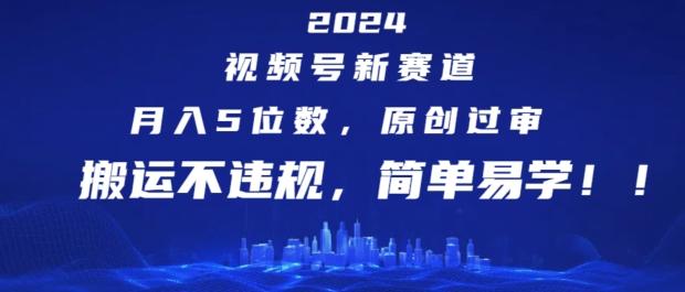 2024视频号新赛道，月入5位数+，原创过审，搬运不违规，简单易学【揭秘】-瀚洪创业网