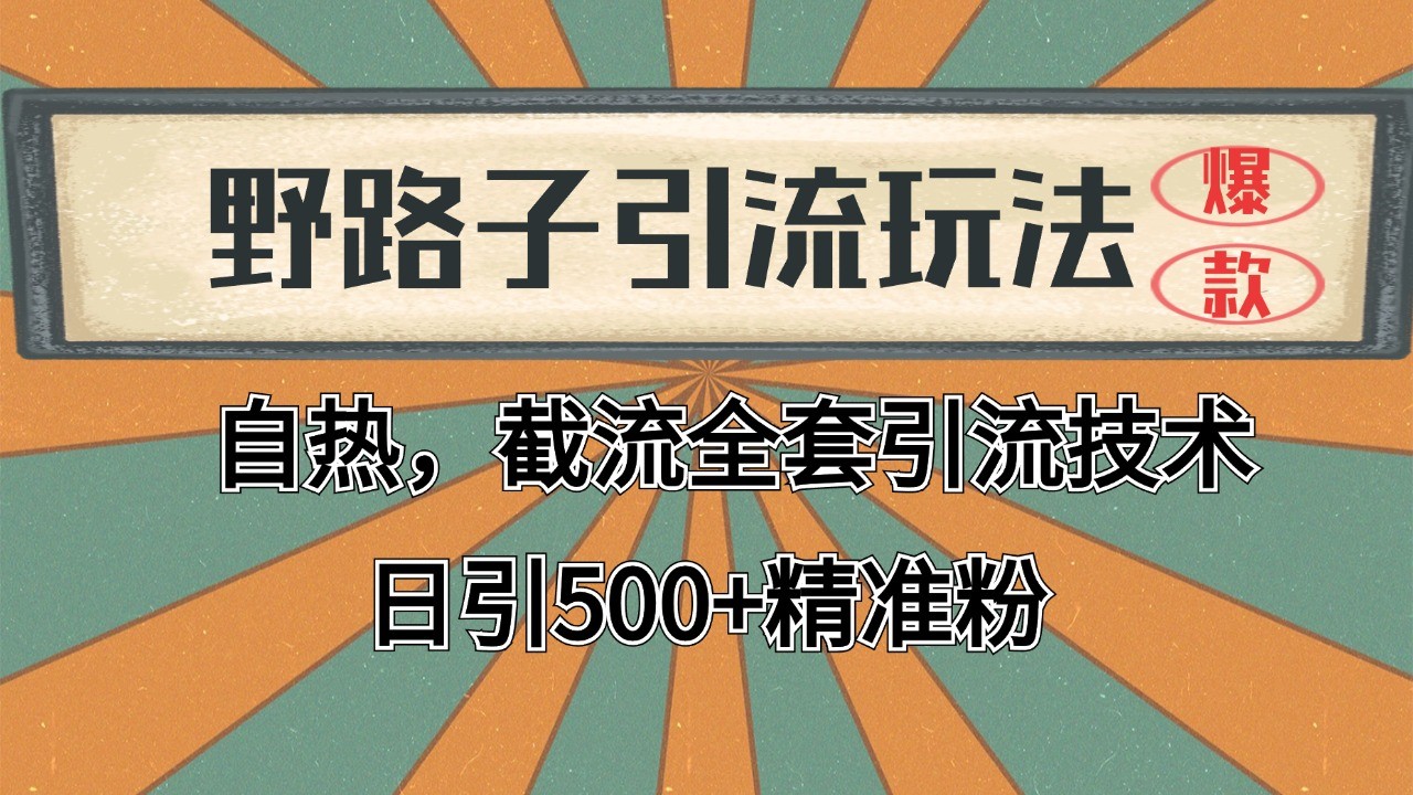 抖音小红书视频号全平台引流打法，全自动引流日引2000+精准客户-瀚洪创业网