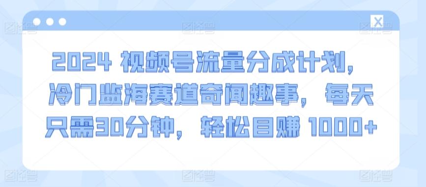 2024视频号流量分成计划，冷门监海赛道奇闻趣事，每天只需30分钟，轻松目赚 1000+【揭秘】-瀚洪创业网