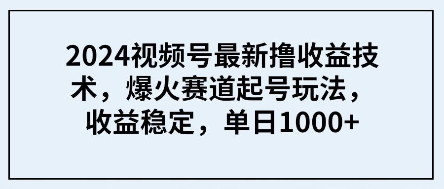 (9651期) 2024视频号最新撸收益技术，爆火赛道起号玩法，收益稳定，单日1000+-瀚洪创业网