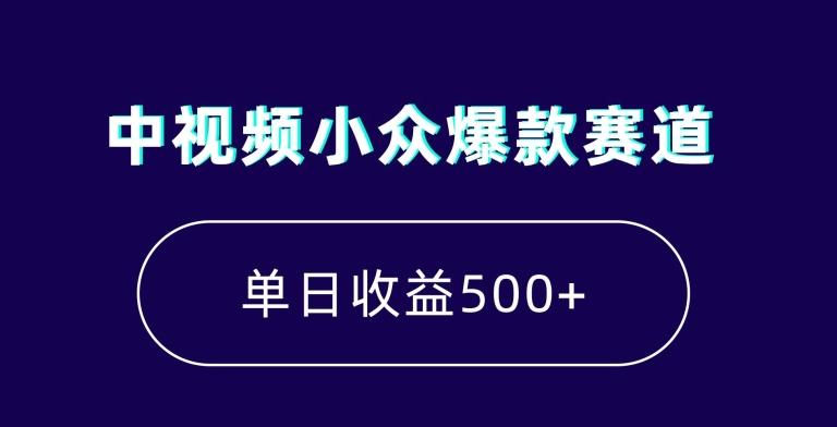 中视频小众爆款赛道，7天涨粉5万+，小白也能无脑操作，轻松月入上万【揭秘】-瀚洪创业网