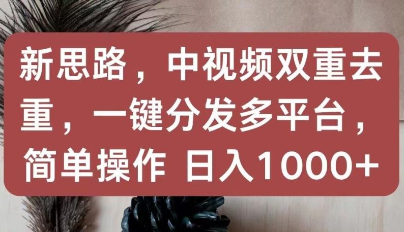 新思路，中视频双重去重，一键分发多平台，简单操作，日入1000+【揭秘】-瀚洪创业网