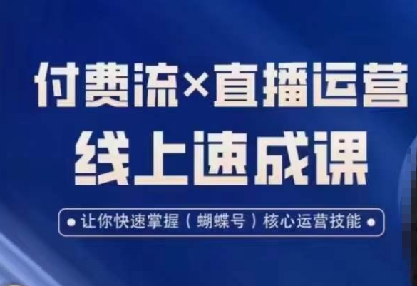 视频号付费流实操课程，付费流✖️直播运营速成课，让你快速掌握视频号核心运营技能-瀚洪创业网