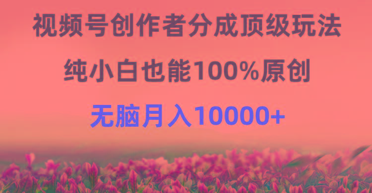 (9608期)视频号创作者分成顶级玩法，纯小白也能100%原创，无脑月入10000+-瀚洪创业网