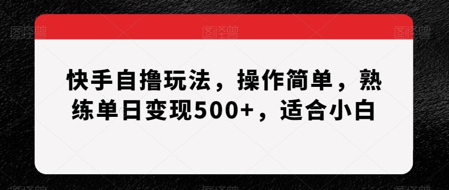 快手自撸玩法，操作简单，熟练单日变现500+，适合小白【揭秘】-瀚洪创业网