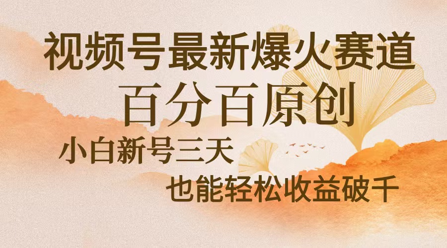 视频号最新爆火赛道，中老年粉深信不疑，百分百原创，新号三天收益轻松…-瀚洪创业网