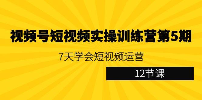 视频号短视频实操训练营第5期：7天学会短视频运营(12节课)-瀚洪创业网