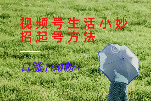视频号生活小妙招分享赛道， 起号涨粉新方法，日涨100粉-瀚洪创业网
