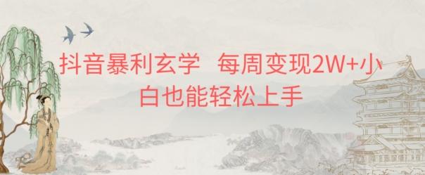 抖音暴利玄学，每周变现2W+小白也能轻松上手-瀚洪创业网