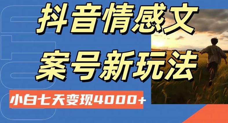 抖音情感文案小白七天变现4000+详细课程-瀚洪创业网