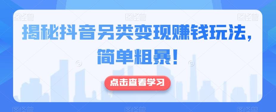 揭秘抖音另类变现赚钱玩法，简单粗暴！-瀚洪创业网