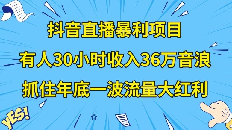 抖音直播暴利项目，有人30小时收入36万音浪，公司宣传片年会视频制作，抓住年底一波流量大红利【揭秘】-瀚洪创业网