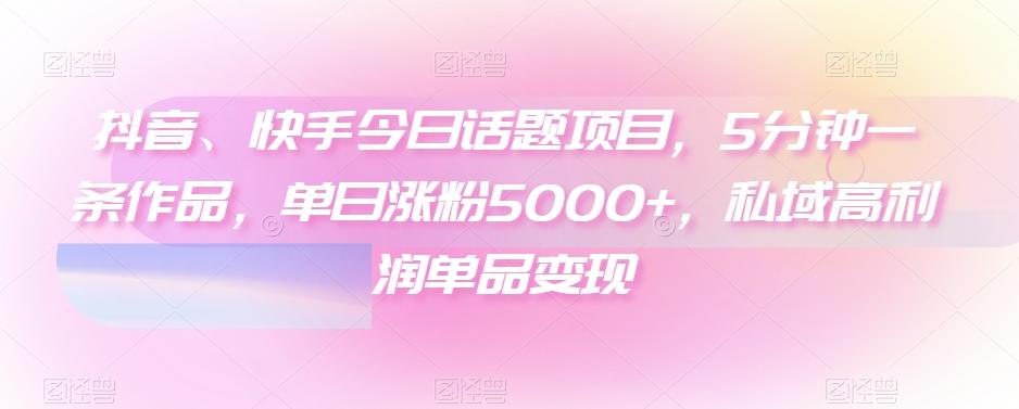 抖音、快手今日话题项目，5分钟一条作品，单日涨粉5000+，私域高利润单品变现-瀚洪创业网
