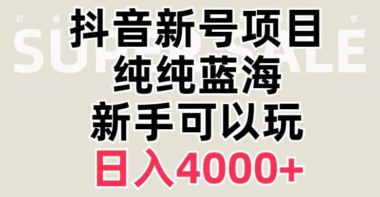 抖音蓝海赛道，必须是新账号，日入4000+【揭秘】-瀚洪创业网
