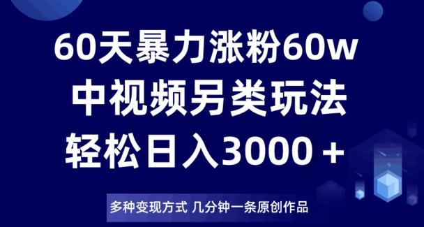 60天暴力涨粉60W，中视频另类玩法，日入3000＋，几分钟一条原创作品多种变现方式-瀚洪创业网