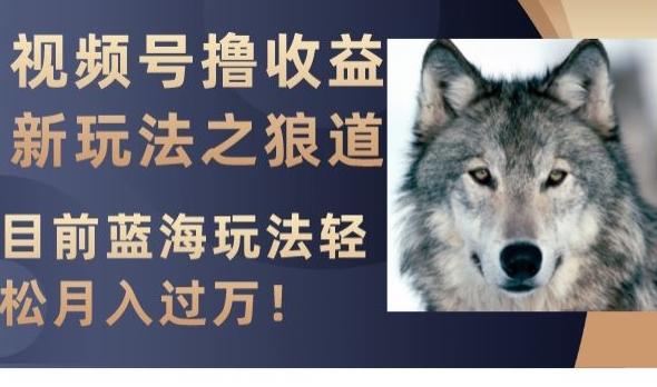 视频号撸收益新玩法之狼道，目前蓝海玩法，轻松月入过万【揭秘】-瀚洪创业网